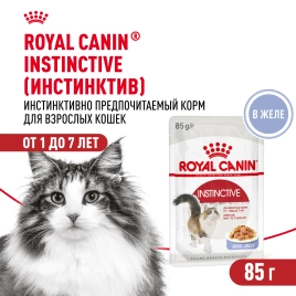 Влажный корм Royal Canin Instinctive в желе для взрослых кошек старше 1 года, пауч, 85 г