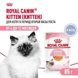 Влажный корм Royal Canin Kitten в желе для котят до 12 месяцев, пауч, 85 г