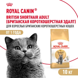 Сухой корм Royal Canin British Shorthair для кошек породы британская короткошерстная, 10 кг