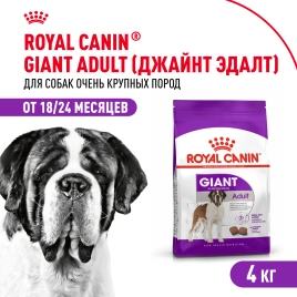 Сухой корм Royal Canin Giant Adult для собак, 4 кг
