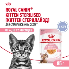 Влажный корм Royal Canin Kitten Sterilised в желе для стерилизованных котят до 12 месяцев, пауч, 85 г