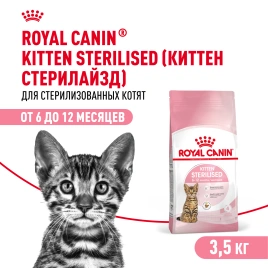 Сухой корм Royal Canin Kitten Sterilised для котят, 3,5 кг
