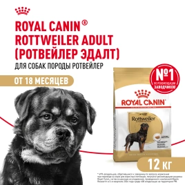 Сухой корм Royal Canin Rottweiler Adult для взрослых собак, 12 кг