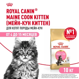 Сухой корм Royal Canin Kitten Maine Coon для котят, 10 кг