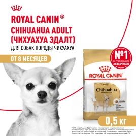 Сухой корм Royal Canin Chihuahua Adult для собак породы чихуахуа, 500 г