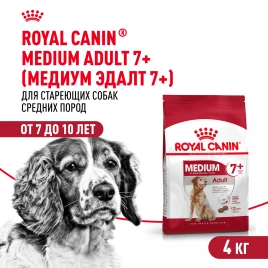 Сухой корм Royal Canin Medium Adult 7+ для собак, 4 кг