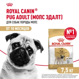 Сухой корм Royal Canin Pug Adult для взрослых собак, 7,5 кг