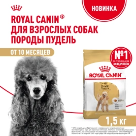 Сухой корм Royal Canin Poodle Adult для взрослых собак, 1,5 кг
