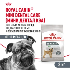 Сухой корм Royal Canin Mini Dental Care для собак, 3 кг