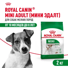 Сухой корм Royal Canin Mini Adult для взрослых собак, 2 кг