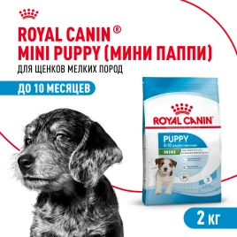 Сухой корм Royal Canin Mini Puppy для щенков, 2 кг