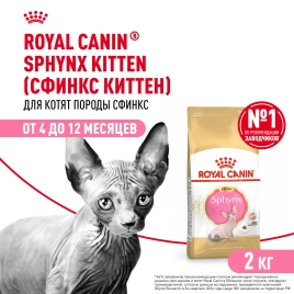 Сухой корм Royal Canin Kitten Sphynx для котят, 2 кг