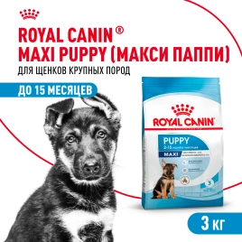 Сухой корм Royal Canin Maxi Puppy для щенков, 3 кг