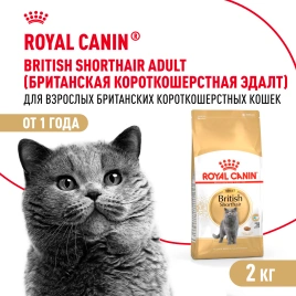 Сухой корм Royal Canin British Shorthair для кошек породы британская короткошерстная, 2 кг