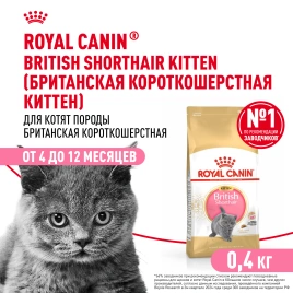 Сухой корм Royal Canin Kitten British Shorthair для котят, 400 г