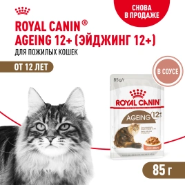 Влажный корм Royal Canin Ageing 12+ в соусе для стареющих кошек старше 12 лет, пауч, 85 г