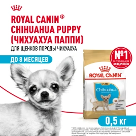 Сухой корм Royal Canin Chihuahua Puppy для щенков породы чихуахуа, 500 г