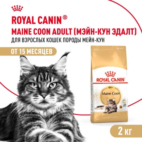 Сухой корм Royal Canin Maine Coon для кошек, 2 кг фото 1