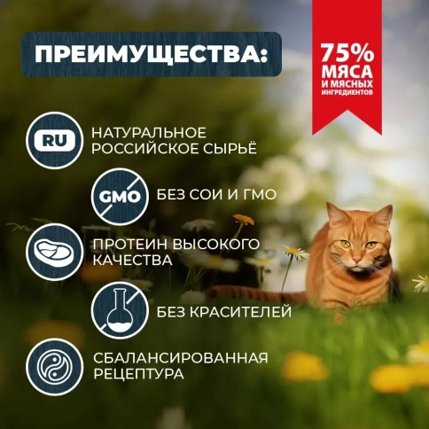 Влажный корм Родные корма Beef для кошек, говядина с языком по-крестьянски, 410 г фото 2