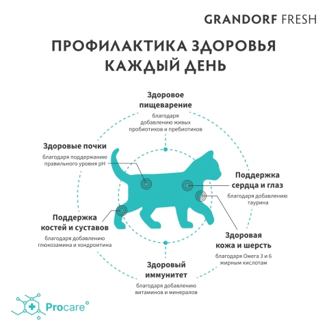 Сухой корм Grandorf Fresh Cat Lamb & Sweet Potato для котят беременных или кормящих кошек ягненок, с бататом, 2 кг фото 4