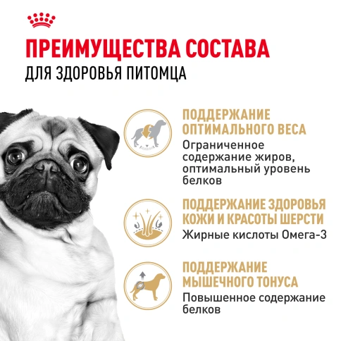 Сухой корм Royal Canin Pug Adult для взрослых собак, 7,5 кг фото 3