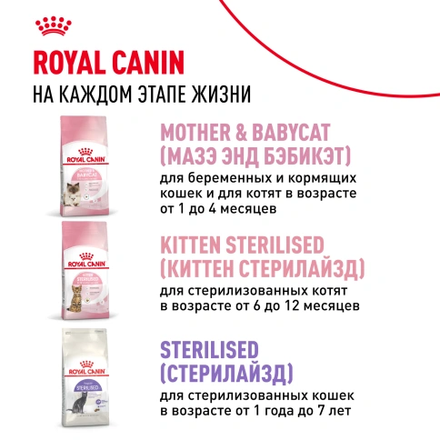 Сухой корм Royal Canin Kitten для котят, 4 кг фото 10