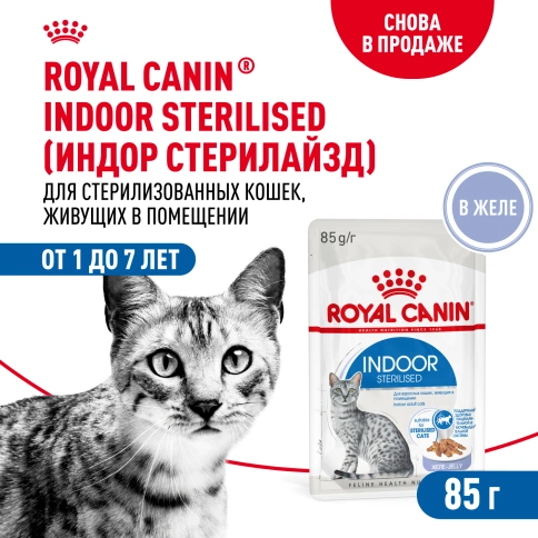 Влажный корм Royal Canin Indoor sterilised в желе для кошек, живущих в помещении, пауч, 85 г фото 1