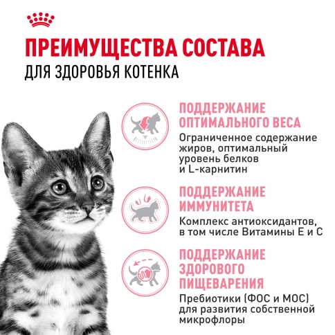 Сухой корм Royal Canin Kitten Sterilised для котят, 3,5 кг фото 3