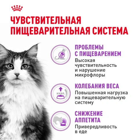 Сухой корм Royal Canin Sensible для кошек, 400 г фото 2