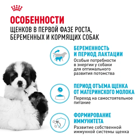 Сухой корм Royal Canin Giant Starter Mother & Babydog для щенков и собак, 4 кг фото 2