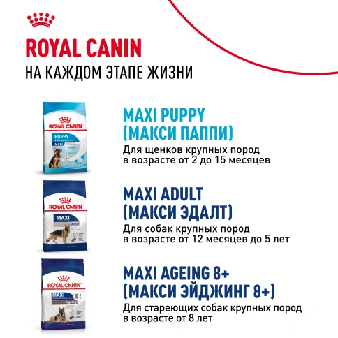 Сухой корм Royal Canin Maxi Starter Mother & Babydog для собак, 15 кг фото 16