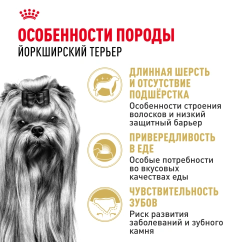 Сухой корм Royal Canin Yorkshire Terrier Adult для взрослых собак, 3 кг фото 2