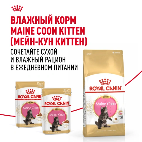 Сухой корм Royal Canin Kitten Maine Coon для котят, 10 кг фото 8