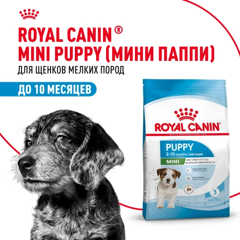 Сухой корм Royal Canin Mini Puppy для щенков, 4 кг фото 15