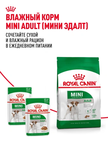Сухой корм Royal Canin Mini Adult для взрослых собак, 800 фото 22