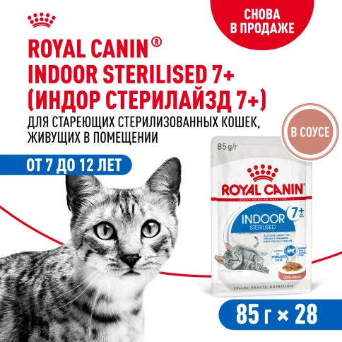 Влажный корм Royal Canin Indoor 7+ в соусе для кошек старше 7 лет, живущих в помещении, пауч, 85 г фото 13