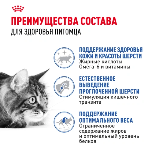 Сухой корм Royal Canin Indoor Long Hair для кошек, 10 кг фото 3