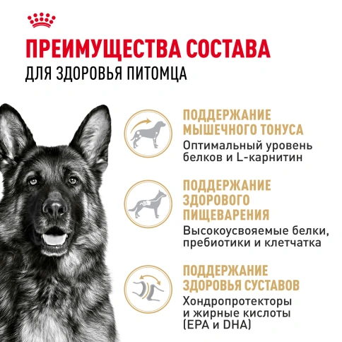 Сухой корм Royal Canin German Shepherd Adult для собак, 3 кг фото 3