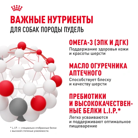 Сухой корм Royal Canin Poodle Adult для взрослых собак, 3 кг фото 4