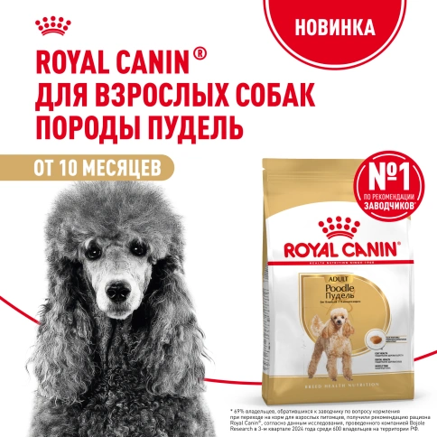 Сухой корм Royal Canin Poodle Adult для взрослых собак, 1,5 кг фото 12
