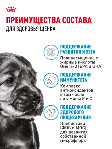 Влажный корм Royal Canin Mini Puppy в соусе для щенков мелких пород до 10 месяцев, пауч, 85 г фото 3