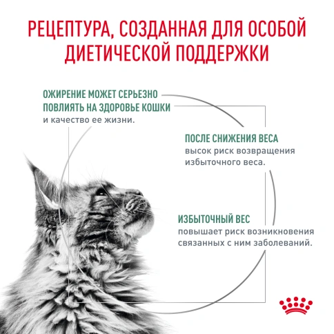 Сухой корм Royal Canin Satiety Weight Management для кошек для снижение веса, 1,5 кг фото 3