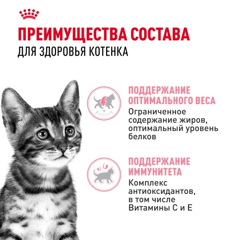 Влажный корм Royal Canin Kitten Sterilised в соусе для стерилизованных котят до 12 месяцев, пауч, 85 г фото 3