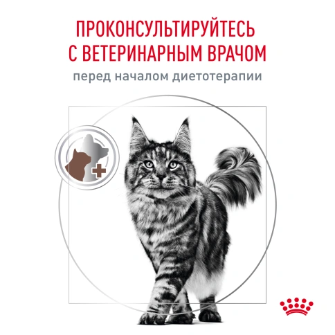 Влажный корм Royal Canin Gastrointestinal Moderate Calorie диетический для кошек при расстройствах пищеварения, склонных к набору веса, пауч, 85 г фото 8