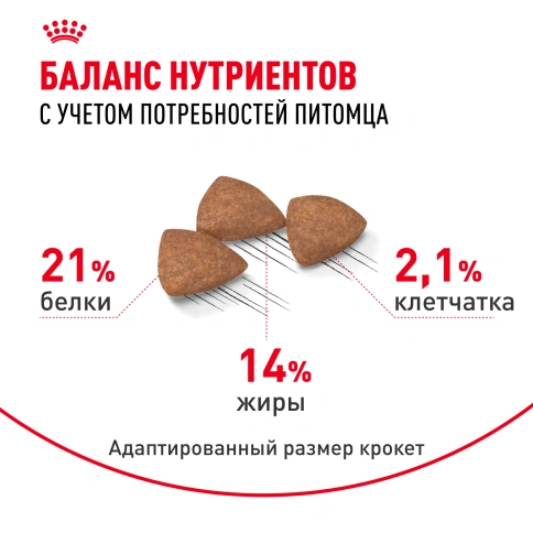 Сухой корм Royal Canin Mini Indoor Adult для собак, 3 кг фото 5
