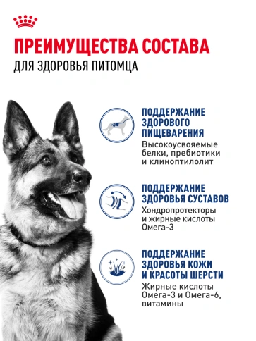 Сухой корм Royal Canin Maxi Adult для собак, 3 кг фото 15