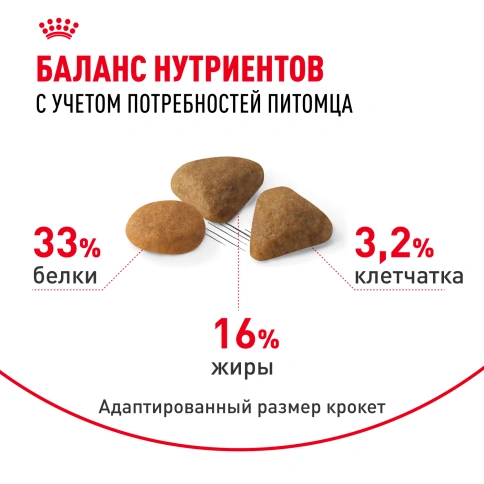 Сухой корм Royal Canin Savour Exigent для кошек, 400 г фото 4