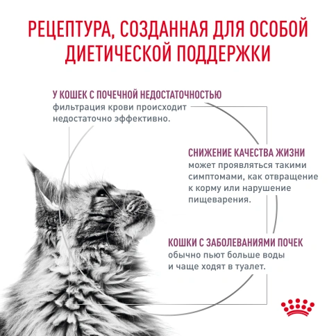 Влажный корм Royal Canin Renal Beef для кошек при заболеваниях почек, в соусе, с говядиной, пауч, 85 г фото 3