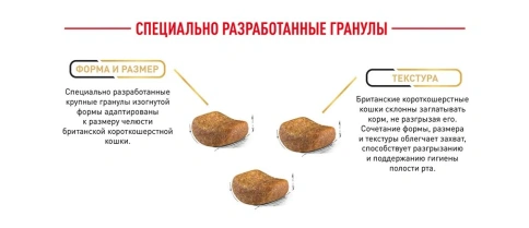 Сухой корм Royal Canin Maine Coon для кошек, 10 кг фото 16