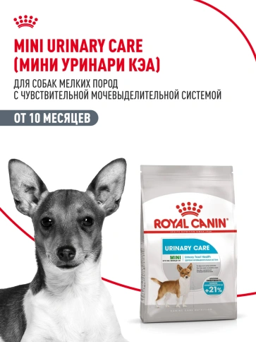 Сухой корм Royal Canin Mini Urinary Care для собак, 1 кг фото 13